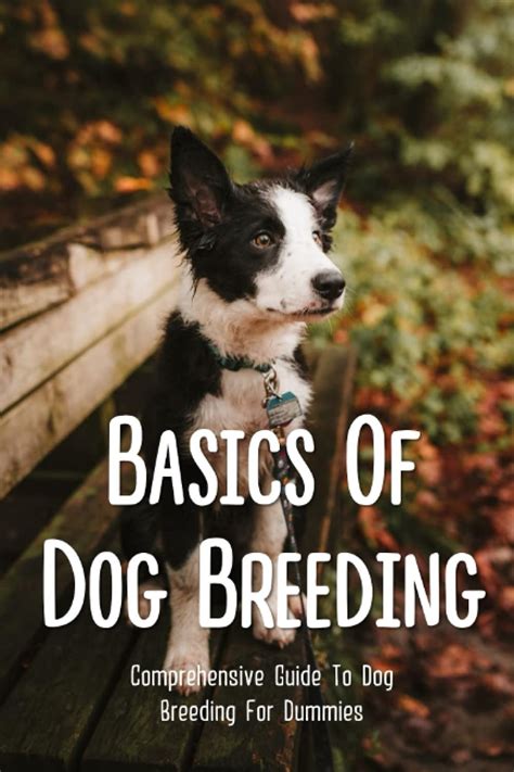 Enchanting Names for Your Adored Female Canines: A Comprehensive Guide