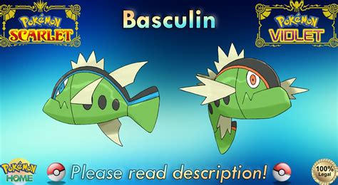 Encountering a Shiny Basculin: A Rare and Enchanting Experience