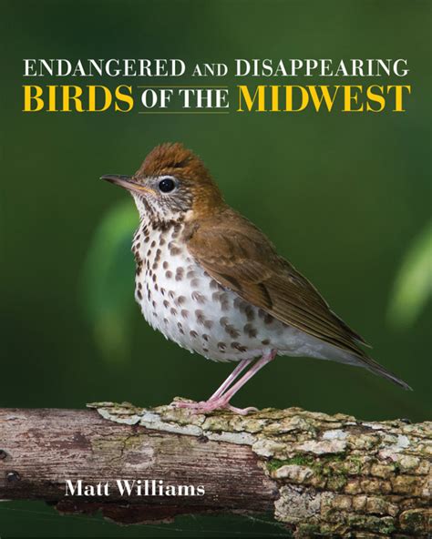 Endangered and Disappearing Birds of the Midwest Reader