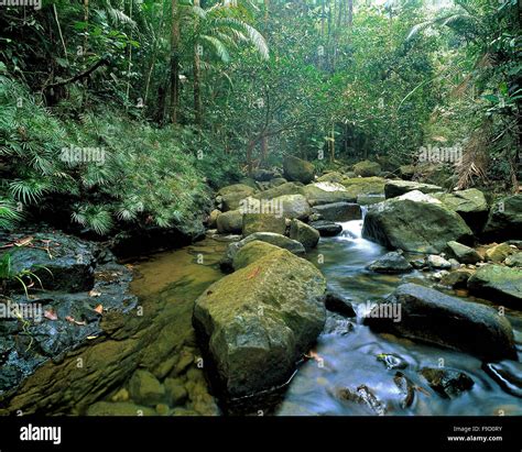 Endau Rompin National Park: