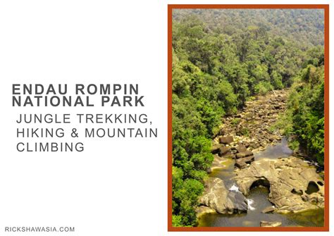 Endau Rompin National Park: 8,189 Acres of Pristine Rainforest Paradise