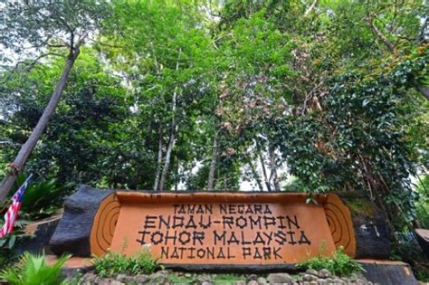 Endau Rompin National Park: 8 Wonders of Biodiversity