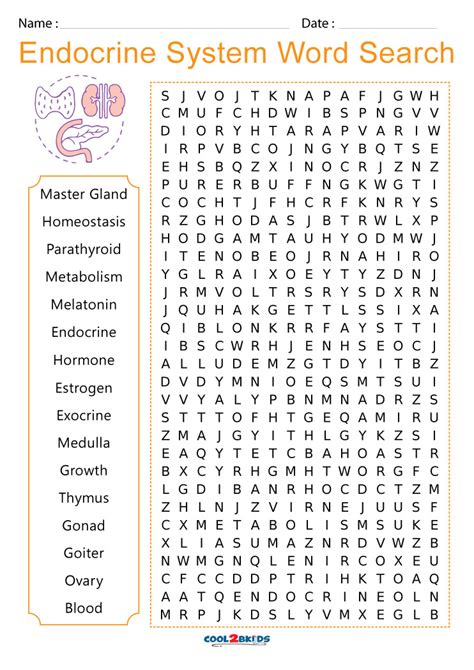 Endocrine System Wordsearch Answers Kindle Editon