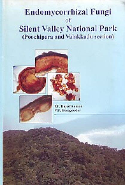 Endomycorrhizal Fungi of Silent Valley National Park Poochi para and Valakkadu Section PDF