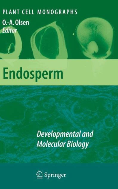 Endosperm Developmental and Molecular Biology 1st Edition Reader