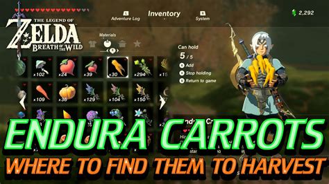 Endura Carrot: The Superfood of Breath of the Wild