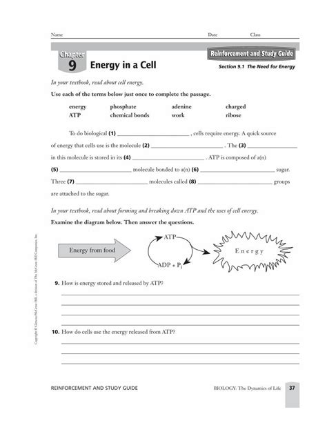 Energy In A Cell Reinforcement And Study Guide Answers Doc