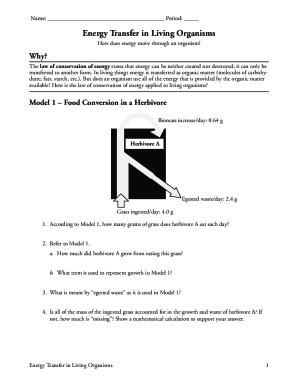 Energy Transfer In Organisms Pogil Answer Kindle Editon