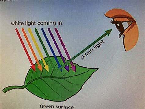 Energy absorption: