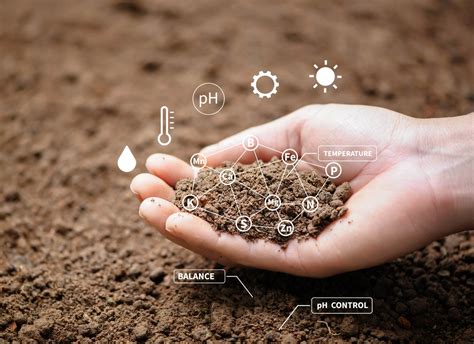 Energy-Producing Technologies: A Catalyst for Soil Fertility