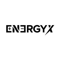 EnergyX Stock Price: $3.05, Up 2.8%