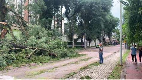 Enfrentando os Impactos do Vendaval: Guia Completo para Sobrevivência e Recuperação