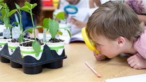 Engage in hands-on projects: