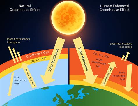 Enhance Atmosphere: