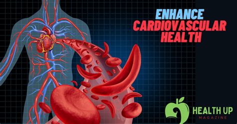 Enhance Cardiovascular Health: