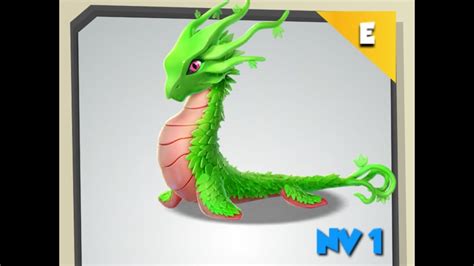 Enhance Dragon Breeding: