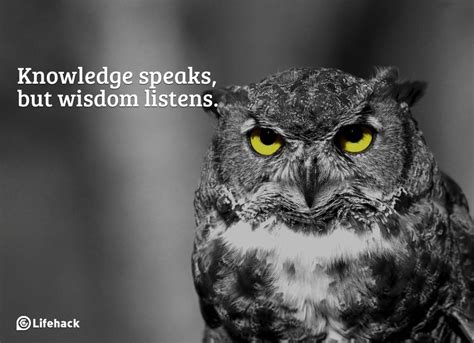 Enhance Wisdom and Insight: