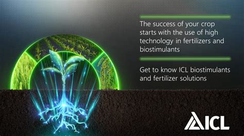 Enhance Your Crops with Nitrogen-Packed Solutions