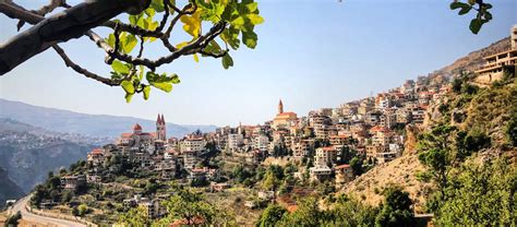 Enhance Your Landscapes with the Enduring Beauty of Lebanon Block