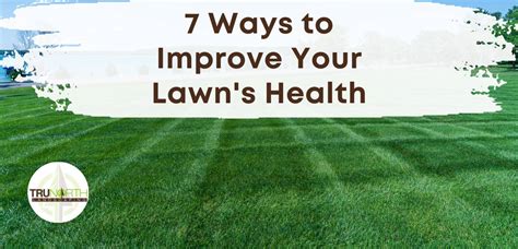 Enhance Your Lawn's Health with Richlawn's Exclusive Formula