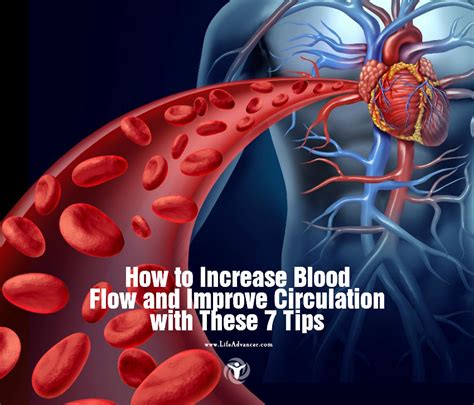 Enhance blood circulation: