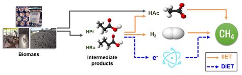 Enhanced Anaerobic Digestion (EAD):