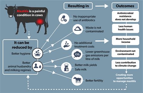 Enhanced Animal Health: