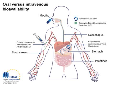 Enhanced Bioavailability: