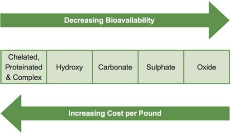 Enhanced Bioavailability of Minerals: