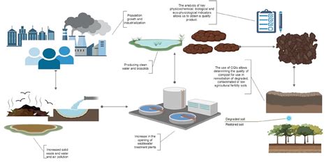 Enhanced Compost Quality: