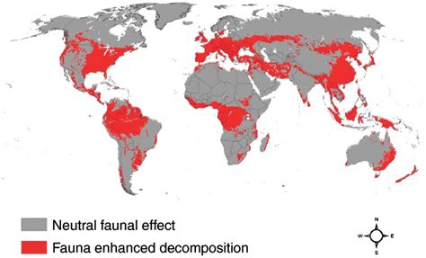 Enhanced Decomposition Rate: