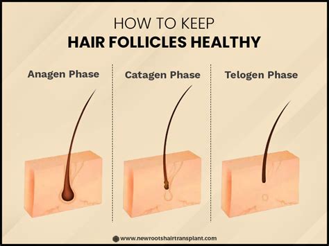 Enhanced Hair Follicle Health: