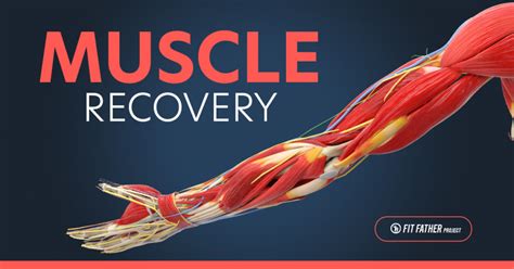 Enhanced Muscle Recovery: