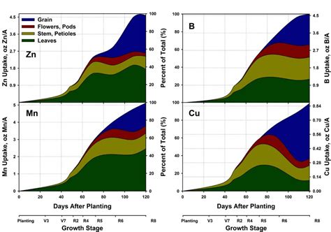 Enhanced Nitrogen Uptake: