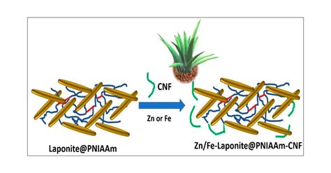 Enhanced Nutrient Delivery: