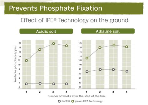 Enhanced Nutrient Utilization: