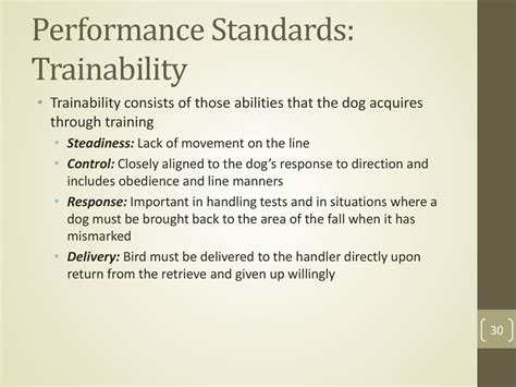 Enhanced Obedience and Trainability: