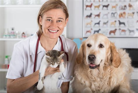 Enhanced Pet Health: