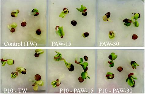 Enhanced Seed Germination: