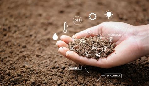 Enhanced Soil Health