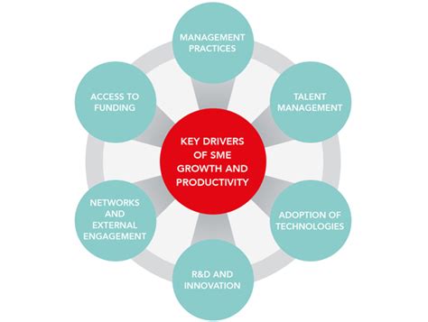 Enhanced Training Support for SMEs: A Catalyst for Growth and Success