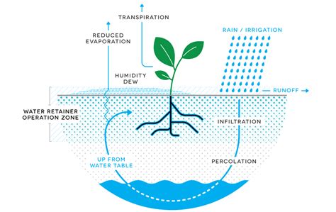 Enhanced Water Utilization: