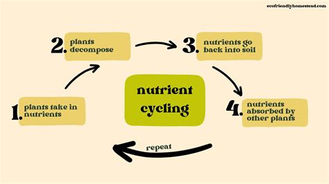 Enhanced nutrient cycling: