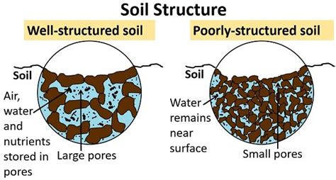 Enhances Soil Structure: