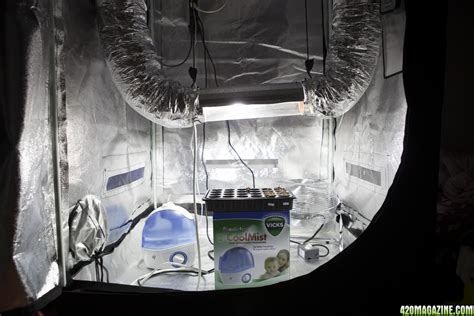 Enhancing Grow Tent Productivity with Clip Fans: A Comprehensive Guide