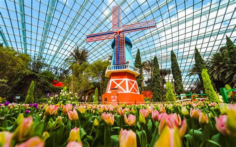 Enjoyable Dining Experiences at Gardens by the Bay Cafe