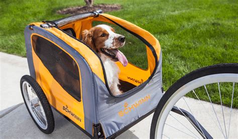 Enrich Your Cycling Experience with Dog Trailers