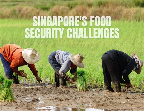 Ensuring Food Security for Singapore: Navigating Challenges and Embracing Opportunities