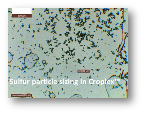 Ensuring Granule Uniformity: