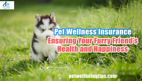 Ensuring Your Furry Friend's Well-being